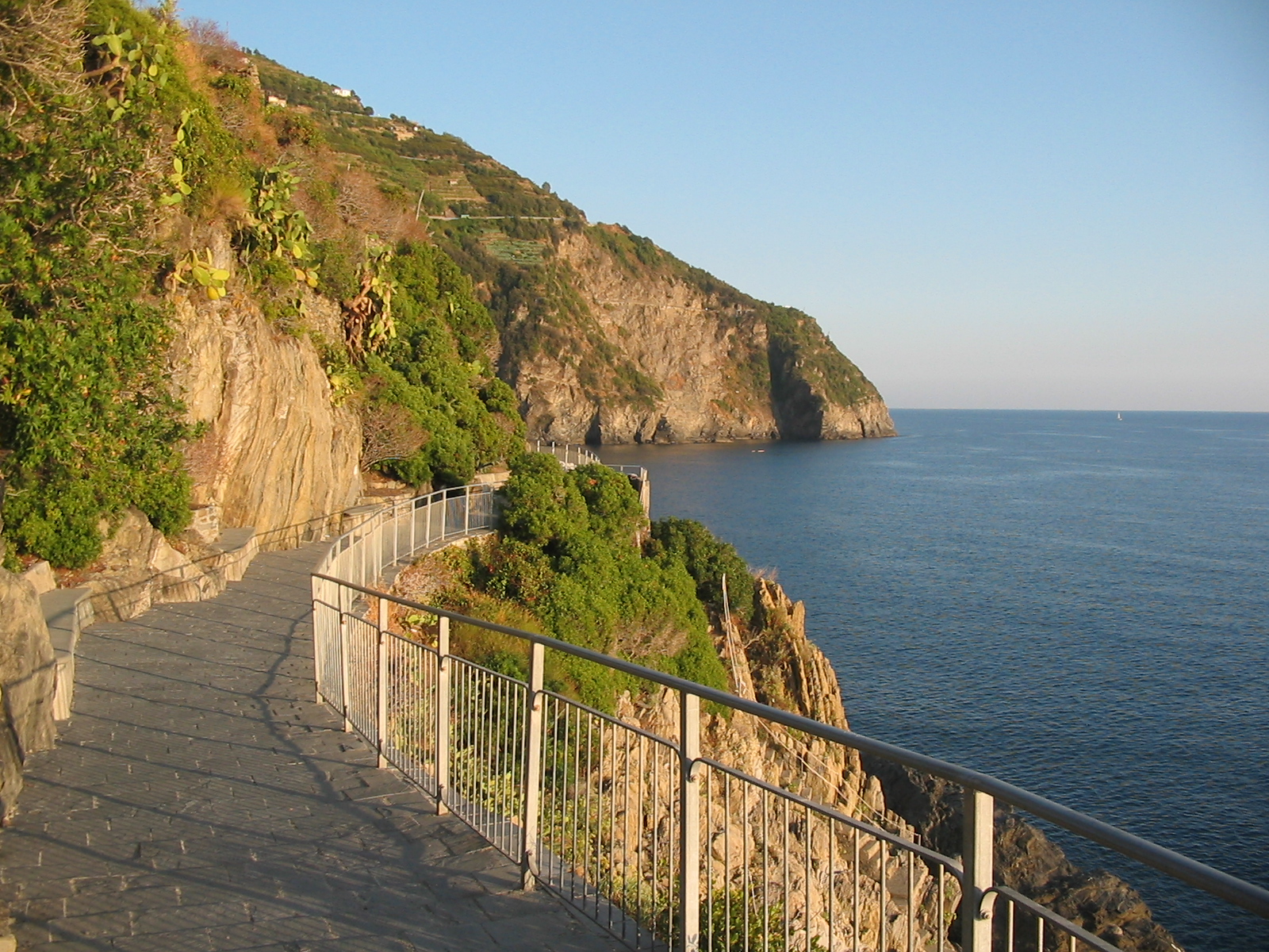 via dell'amore in cinque terre